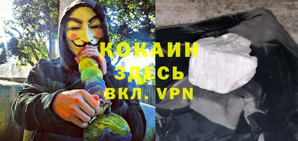 ПСИЛОЦИБИНОВЫЕ ГРИБЫ Абаза