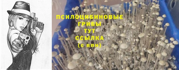 2c-b Аркадак