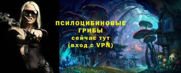 ПСИЛОЦИБИНОВЫЕ ГРИБЫ Абаза