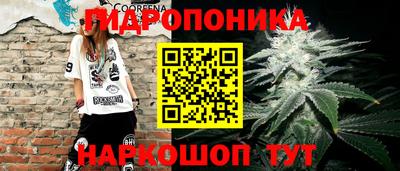 стаф Пугачёв