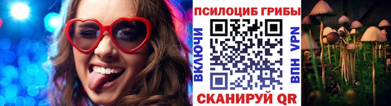 Галлюциногенные грибы Psilocybe  где продают   Тавда 